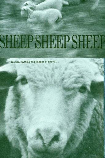 Sheep, Sheep, Sheep (1969) poster