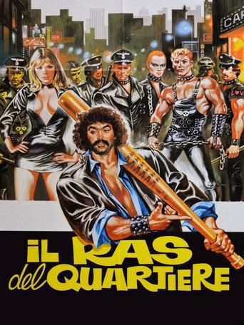 The Boss of the District (1983) poster
