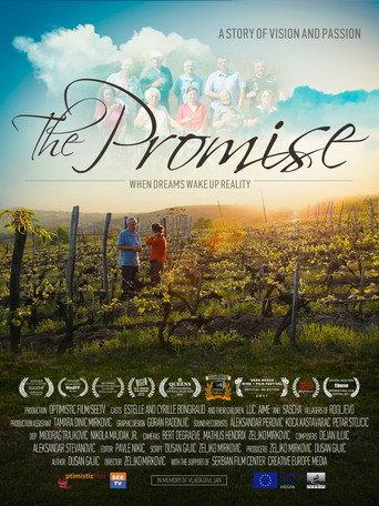 The Promise () poster