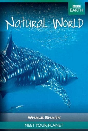 Whale Shark (2008) poster
