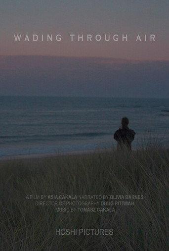 Wading Through Air () poster