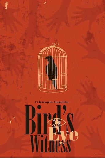 Bird's Eye Witness () poster