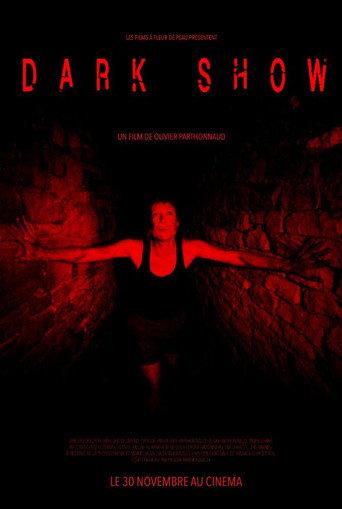 Dark Show (2016) poster