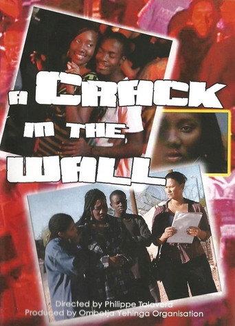 A Crack in the Wall (2009) poster