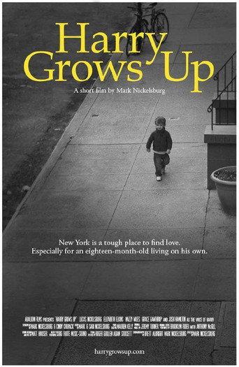 Harry Grows Up (2012) poster