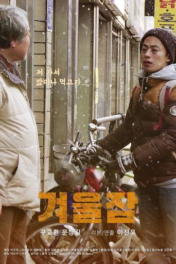 Winter sleep (2012) poster