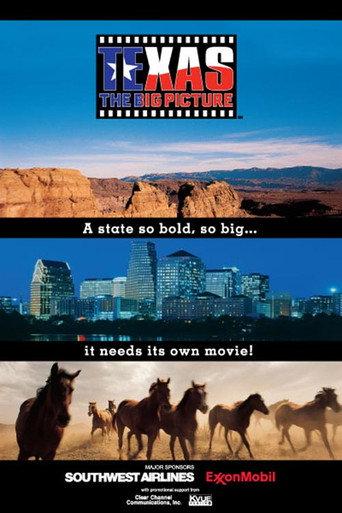 Texas: The Big Picture (2003) poster