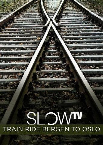 Slow TV: Train Ride Bergen to Oslo (2009) poster
