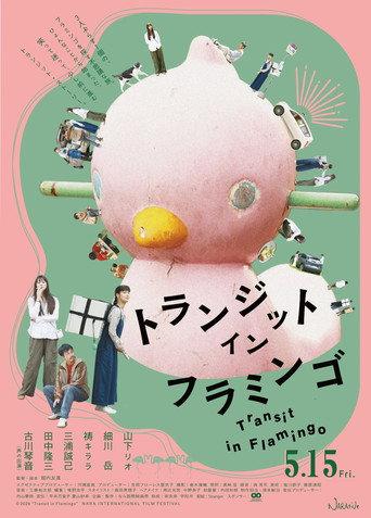 Transit in Flamingo (2026) poster