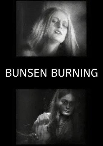 Bunsen Burning (2026) poster