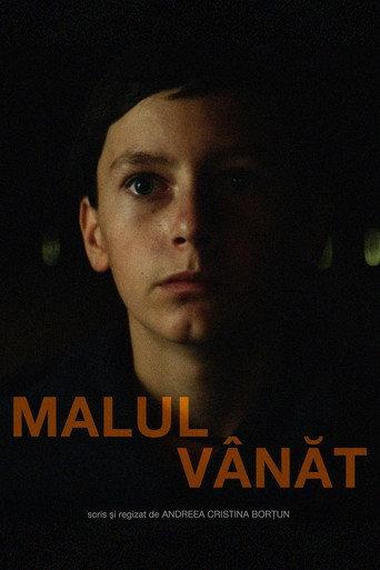 A River's Gaze (2026) poster