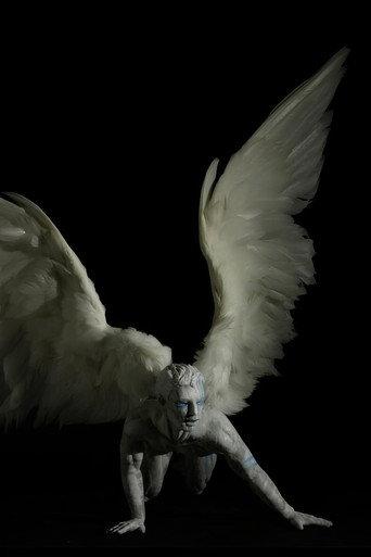 Plume (2011) poster
