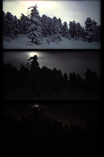 winter (bäume leuchten) (1991) poster