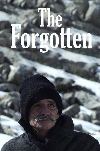The Forgotten (2013) poster