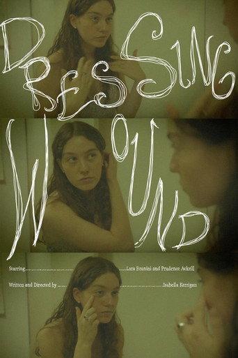Dressing Wound () poster