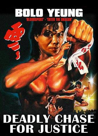Deadly Chase for Justice (1977) poster