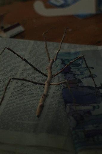 Walking Stick (2017) poster