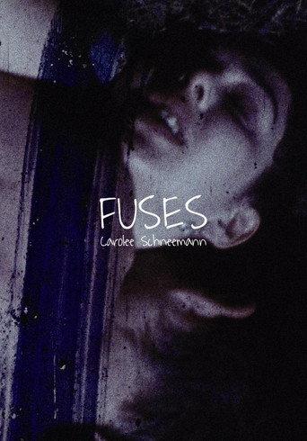 Fuses (1967) poster