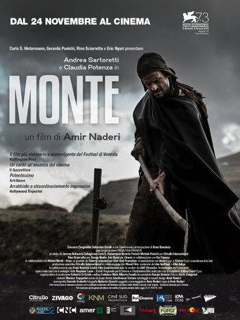 Mountain (2016) poster