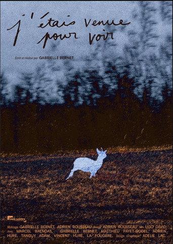 I Came to See (2026) poster