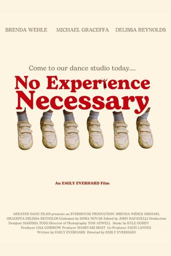 No Experience Necessary () poster