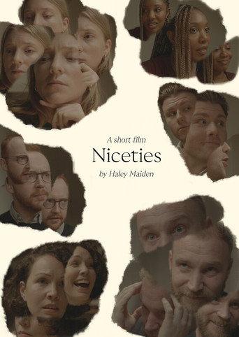 Niceties () poster