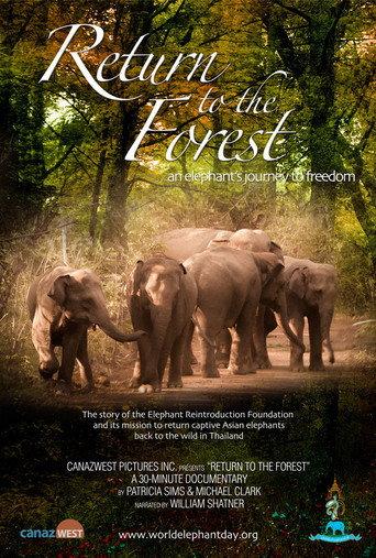 Return to the Forest (2013) poster