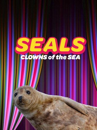 Seals - Clowns of the Sea (2021) poster