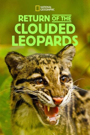 Return of the Clouded Leopards (2012) poster