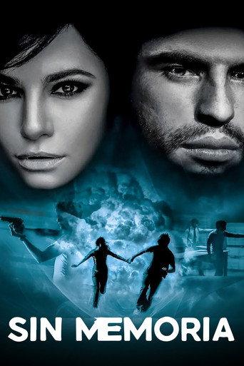 Sin Memoria (2010) poster