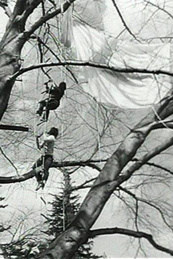 Tree Dance (1971) poster