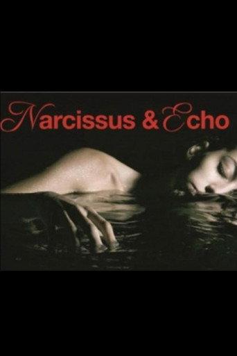 Narcissus and Echo (2011) poster