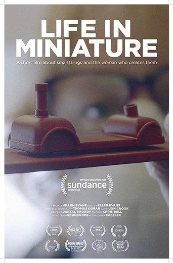 Life in Miniature (2018) poster