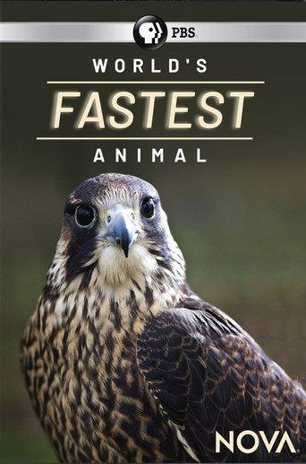 World's Fastest Animal (2018) poster