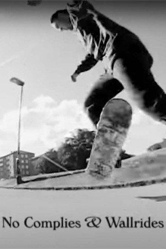 No Complies & Wallrides + Shuvits (2012) poster