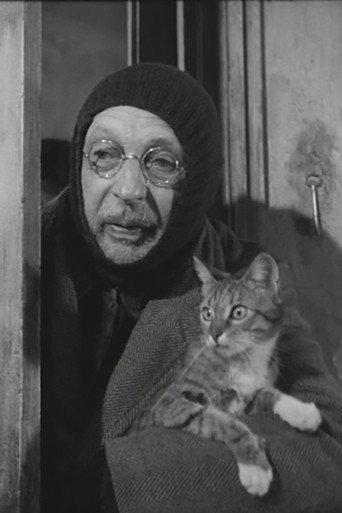 L'Homme au chats (1969) poster