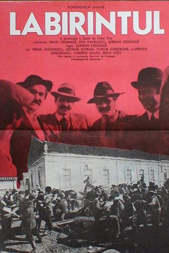 Labirintul () poster