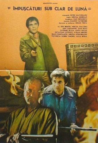 Shootings Under the Moonlight (1977) poster