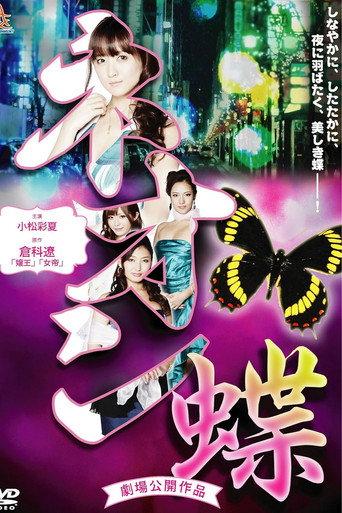 Neon Butterfly (2013) poster