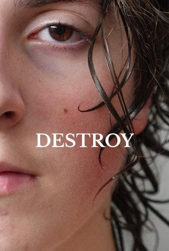 Destroy (2022) poster