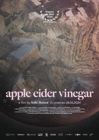 Apple Cider Vinegar (2024) poster