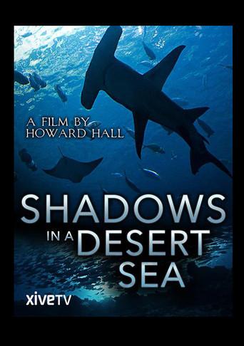 Shadows in a Desert Sea (1993) poster