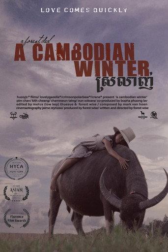 A Cambodian Winter () poster