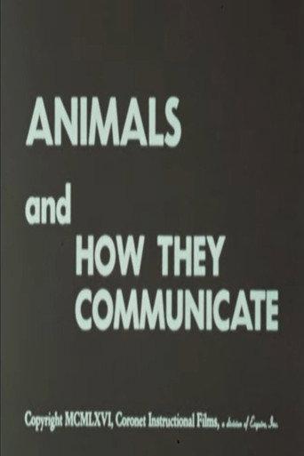 Animals and How They Communicate (1966) poster