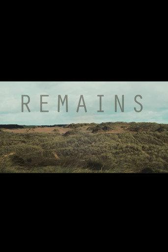 Remains (2025) poster