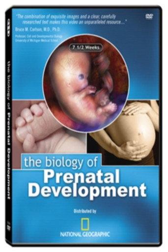 The Biology of Prenatal Development () poster