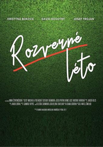 Rozverné léto () poster