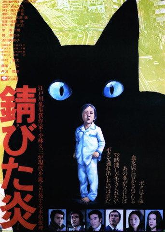 Flickering Flames (1977) poster