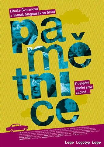 Pamětnice (2009) poster