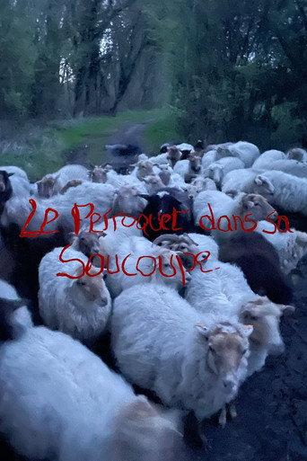 Le Perroquet dans sa Soucoupe (Short Version) (2024) poster